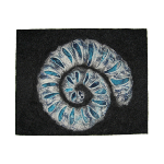 Bilder und Wandschmuck