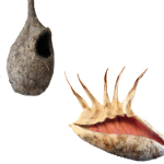 Filzobjekte - Plastiken